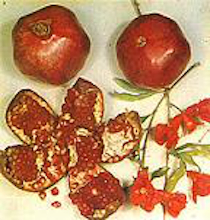 pomegranate