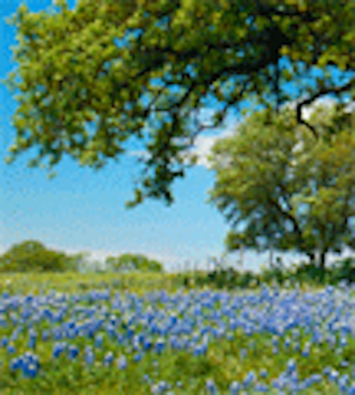 CT.com_plants