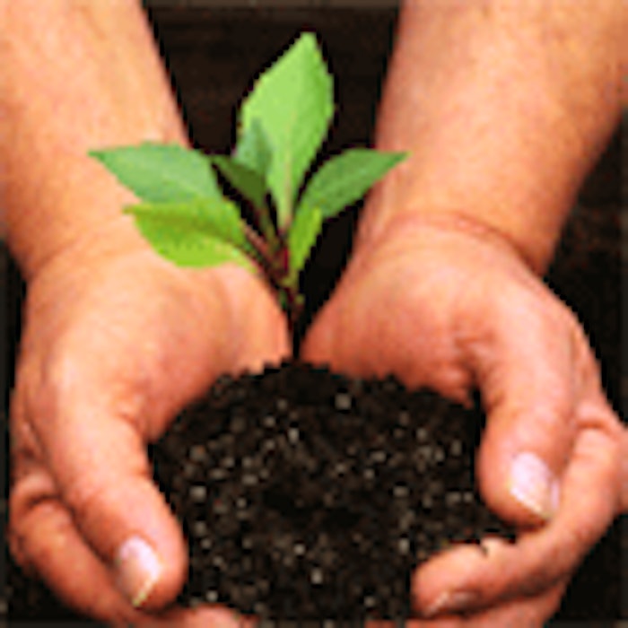 CT.com_plant.sprout