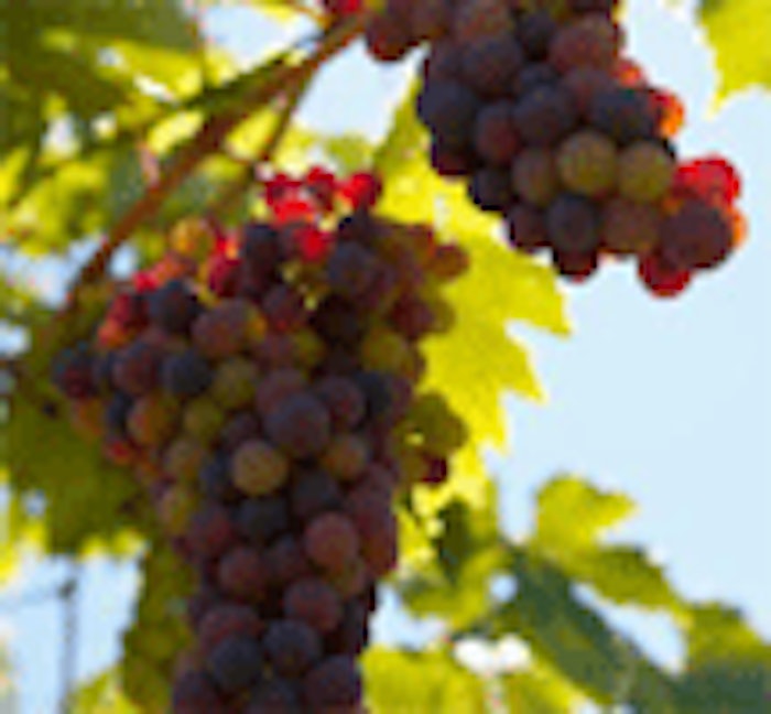 CT.com_grapes
