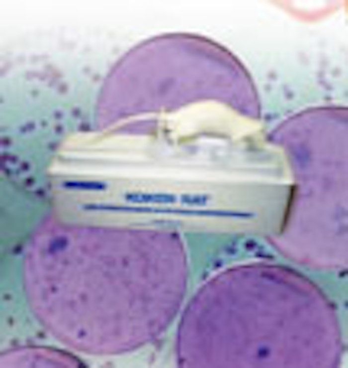 CT_Animal-Testing
