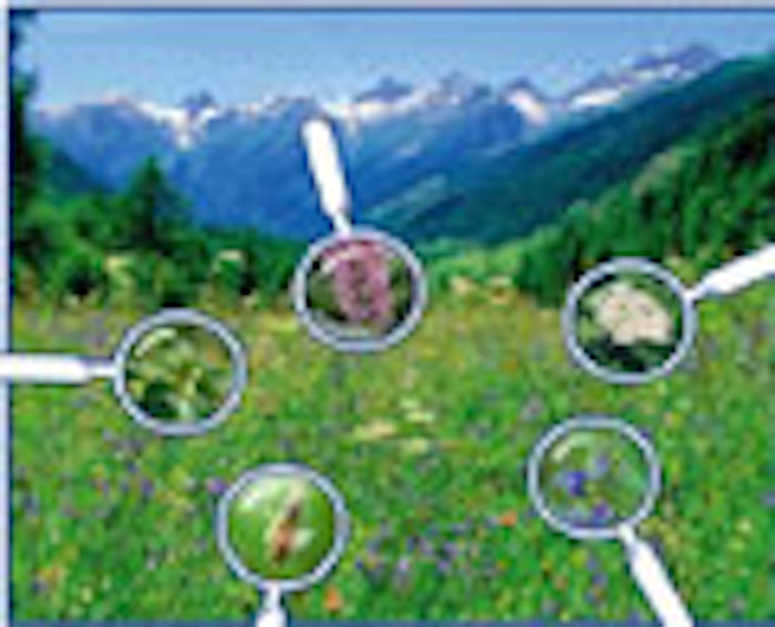 CT_Mountains
