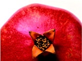Pomegranate Peel