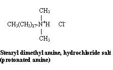 Stearyl dimethyl amine, hydrochloride salt (protonated amine)