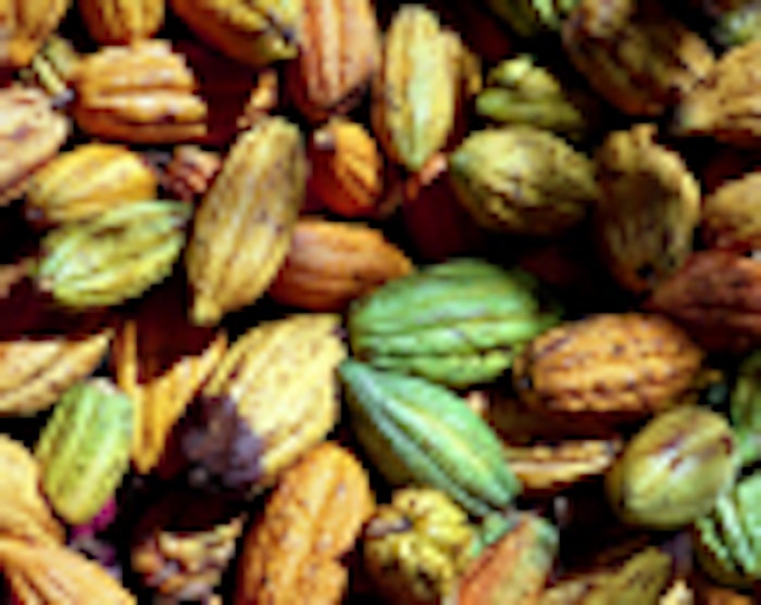 CT_cocoa-beans