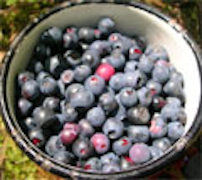Blueberries in a bowl