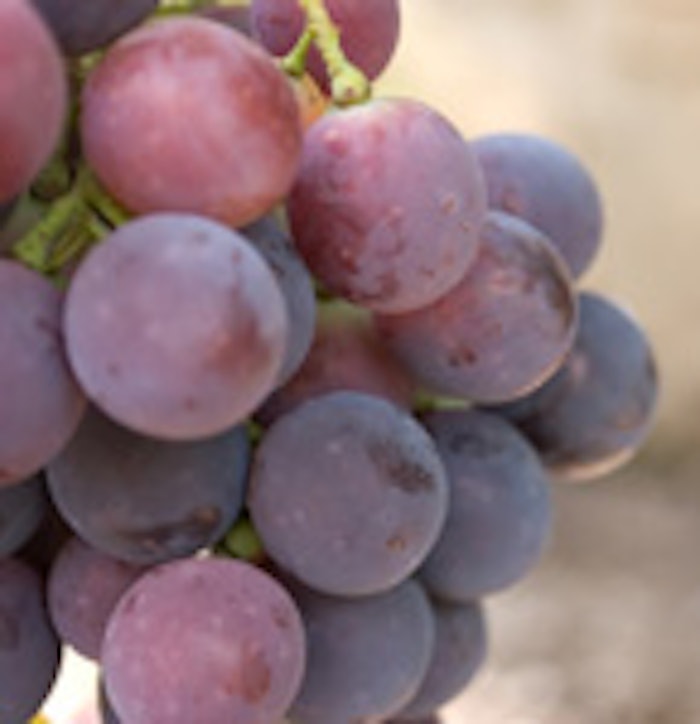 CT_grape_l