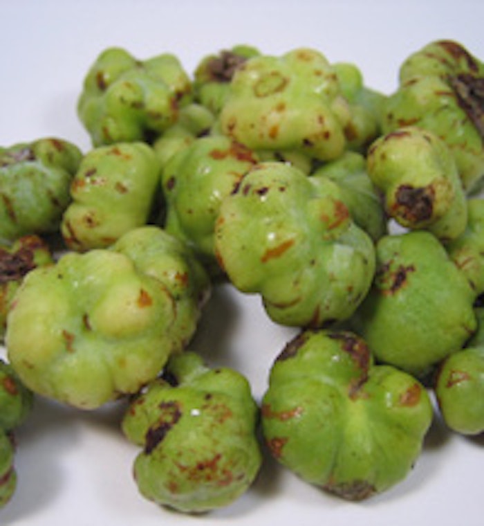 Fruit of Actinidia polygama (silver vine)