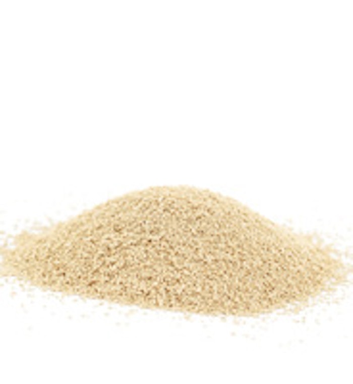 CT_yeast_l