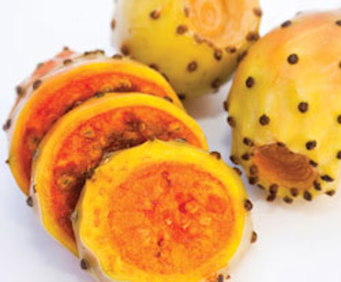CT_pricklypear_l