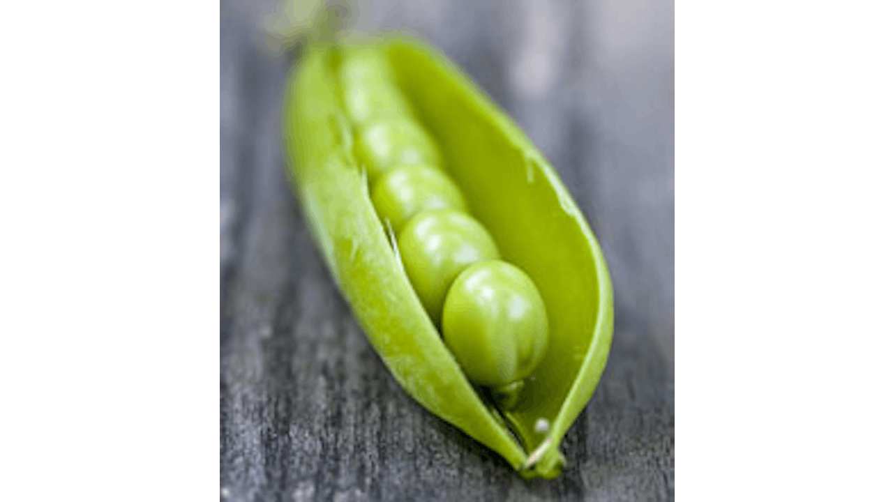 Pea Sprout Hair Growth Active | Cosmetics & Toiletries