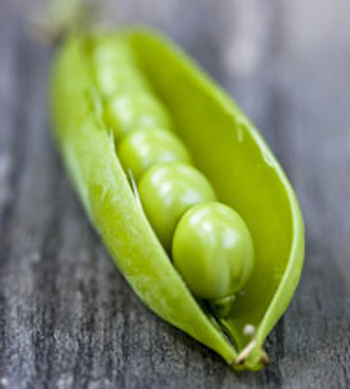 CT_peapod_l