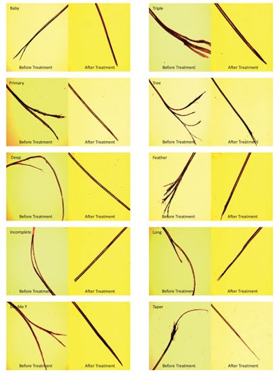 Ending the Cycle of Split Ends | Cosmetics & Toiletries Ending the Cycle of Split Ends | Cosmetics & Toiletries