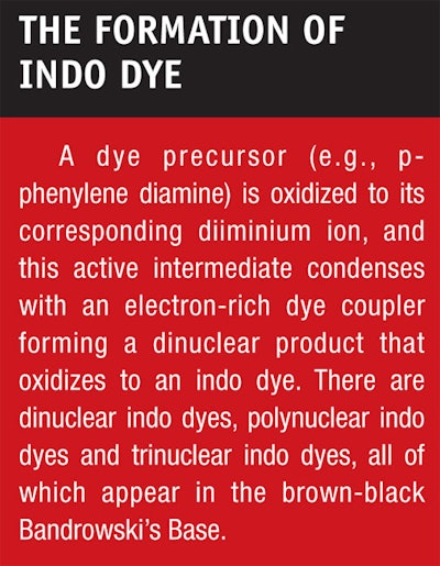CT0703-Shansky-The-Formation-of-Indo-Dye
