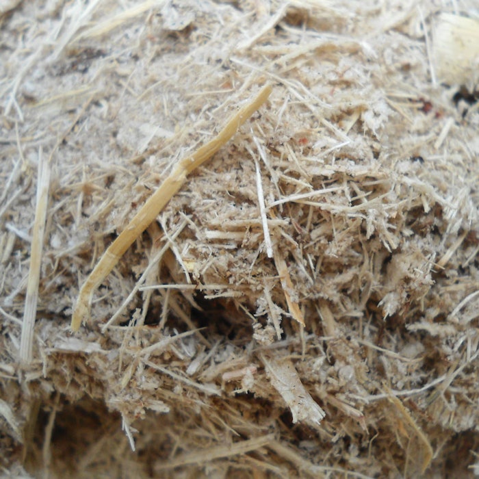Sugarcane-Bagasse-850