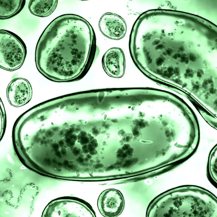 Green-bacteria-850