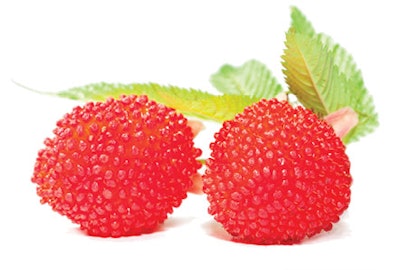 Rubus rosaefolius, is a shrub native to rainforests, popularly known as sylvan strawberry. Hydro-alcoholic extraction followed by concentration steps produced an extract particularly rich in saponins and heterosides (leaves). This extract showed antimicrobial properties when tested in vitro.7 When it was introduced at 0.2 percent (w/w) in a gel or an emulsion, the formulations were protected from bacteria and yeast, although they failed to be protected against fungi.8