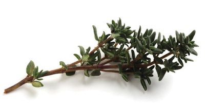 Example 2 - Tea Tree Oil