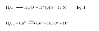 Strategies to Repair and Minimize Oxidative Damage