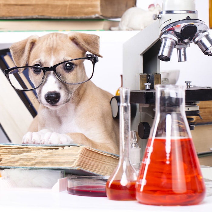 Puppy-chemist-in-lab-850