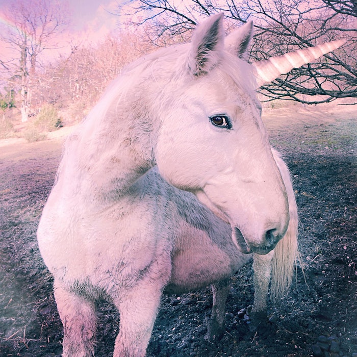 Unicorn-850