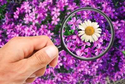 Picture of flowers and a magnifying glass