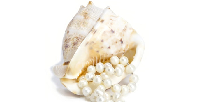givaudanoceanshell_425