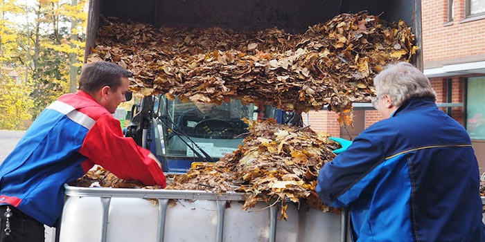 Autumn leaves can be processed to produce cosmetic pigments and preservatives.