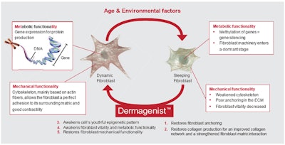 Image1 Basf 111716