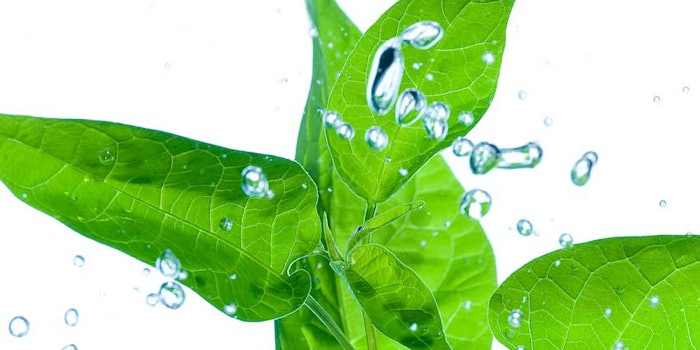 CosmephytamisAlbanMuller_425