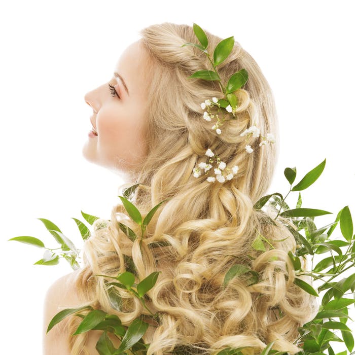 NaturePlantsHair850