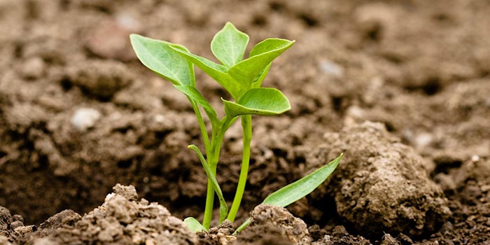 SustainableFood_425