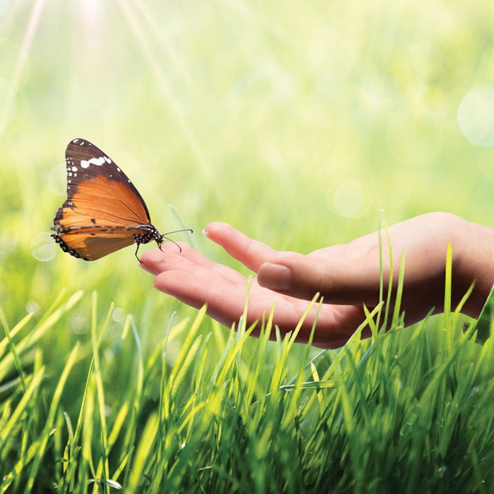 HandGrassButterfly850