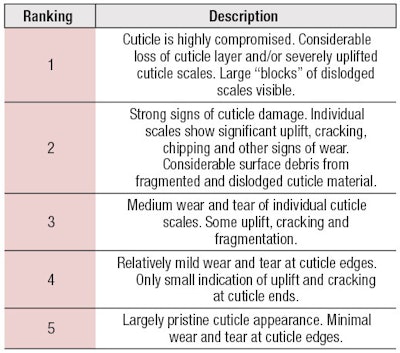 Table 1. Five-point Grading Scale
