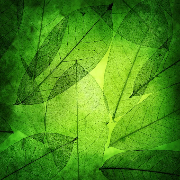 GreenLeaves850