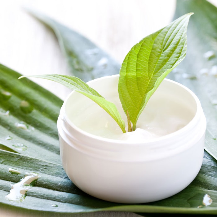 NaturalLotionLeaves850