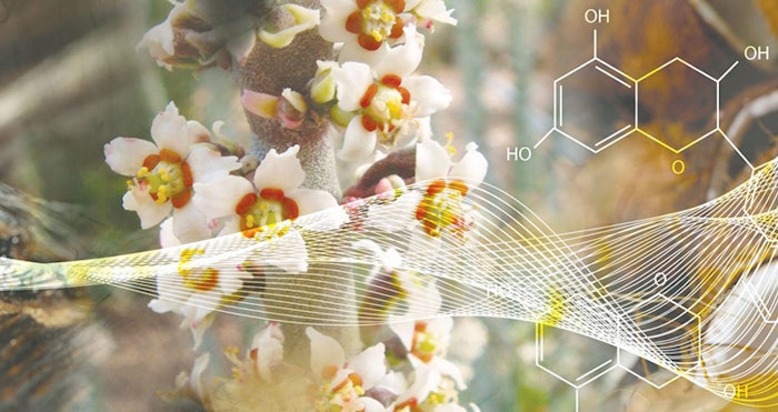 HAL-17036F_CT-Featured-Prdct_Lead-Image_800x424