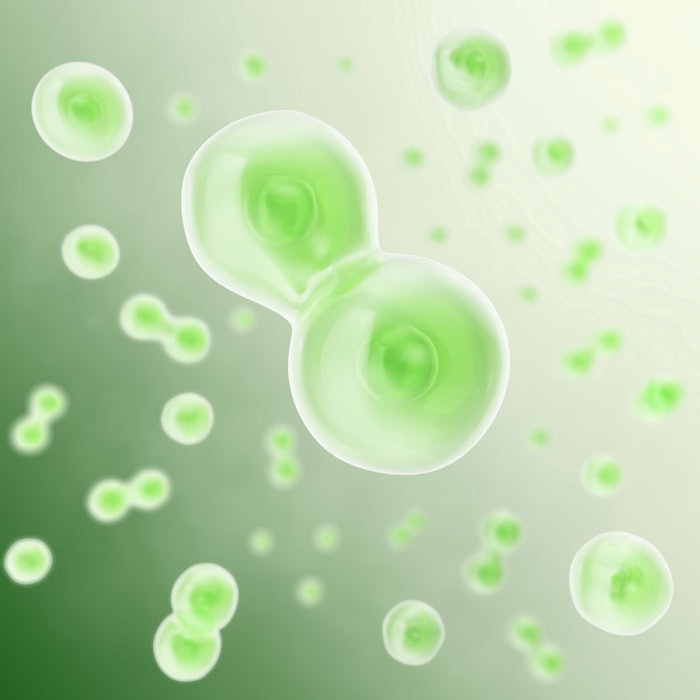BiologyCells850
