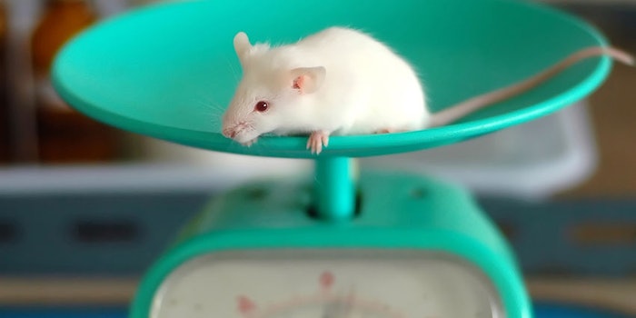 CT_AnimalTesting_425