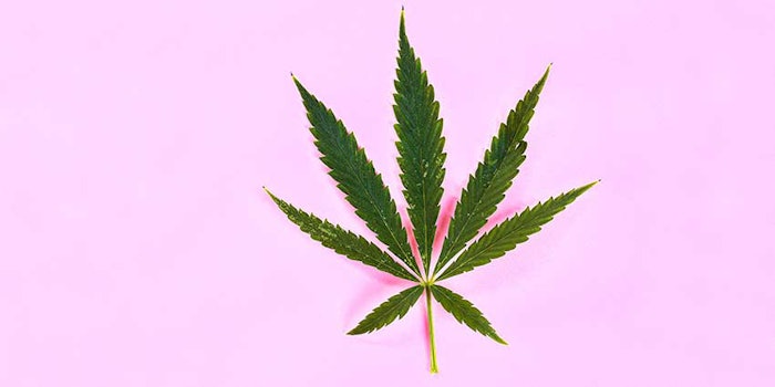 PinkCannabis_425