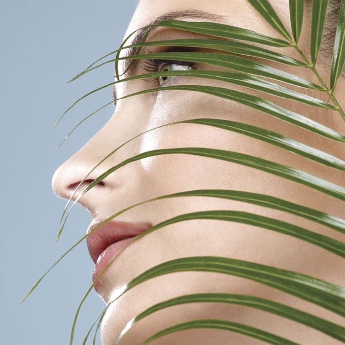 FaceShadedbyPalm850