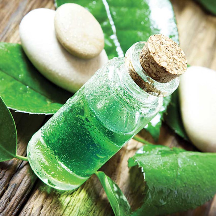 Tea Tree Oil from Arista Industries, Inc.