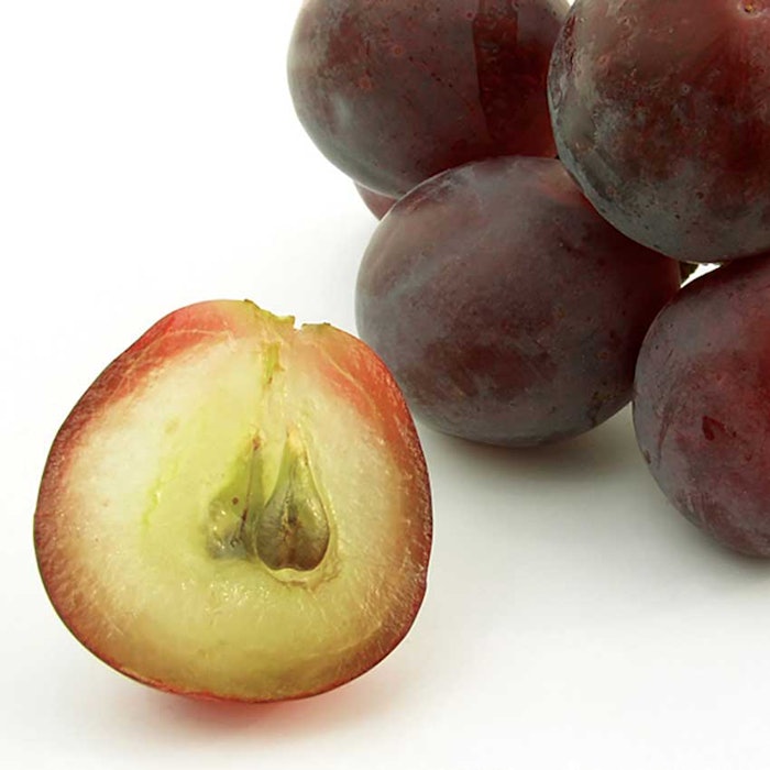 Cropure Grapeseed from Croda Inc.
