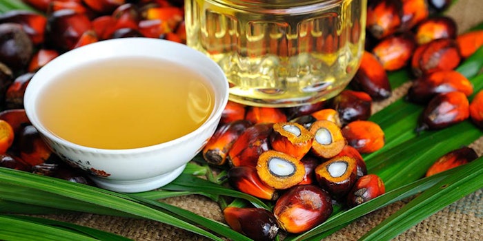 850x425_charkitpalmoil