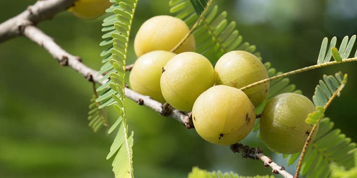 850x425_amlaoil