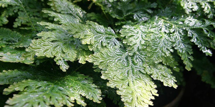 850x425_naturexincos2018