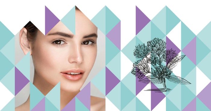 clariant_ct1805_lead