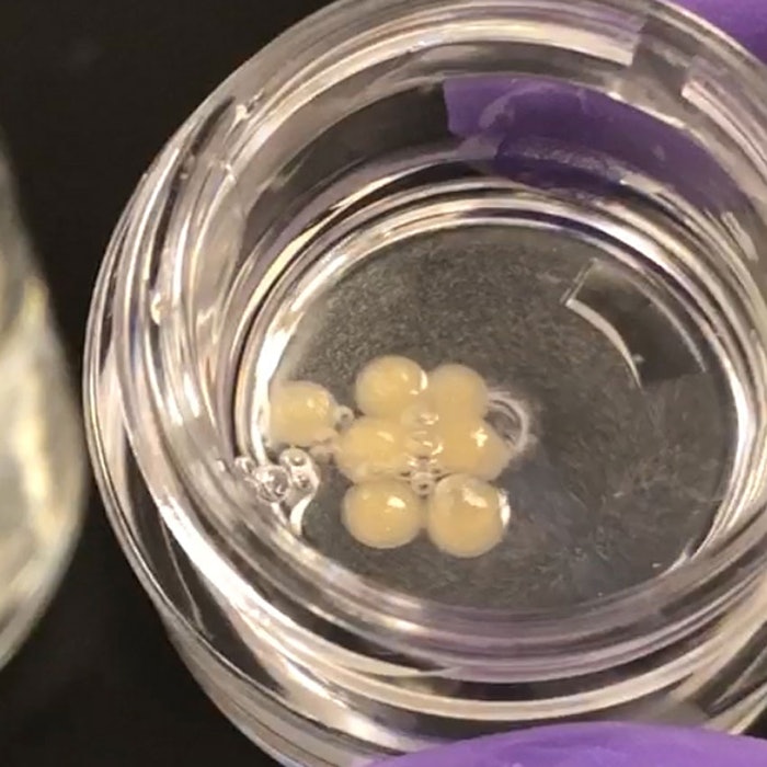 BASF-Caviar-Ampoules850