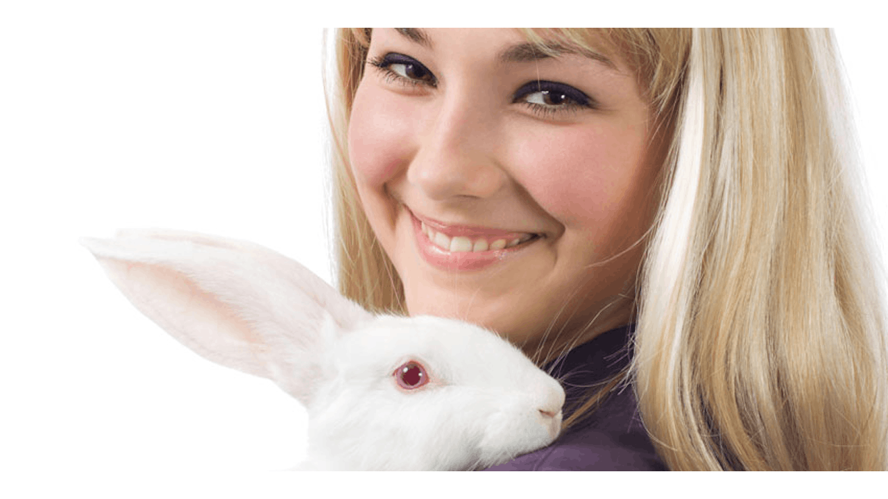 California and Canada Move to End Animal Testing for Cosmetics | Cosmetics  & Toiletries