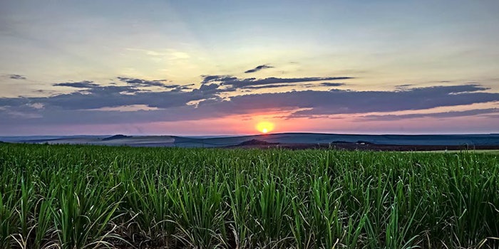 850x425_bracabrazil